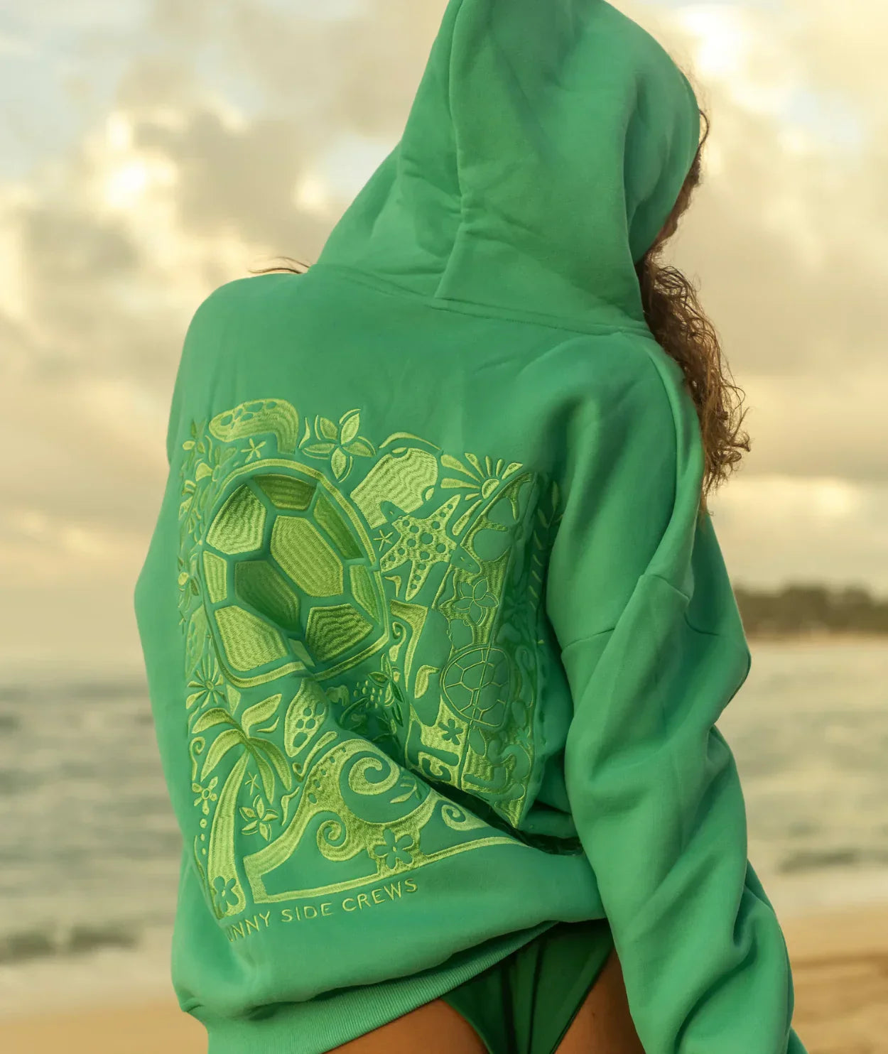 The Turtle Hoodie